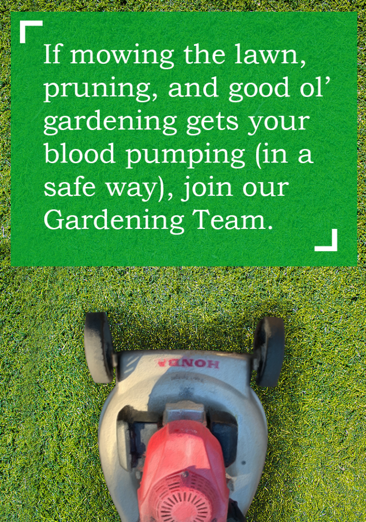 Lawnmower Blurb